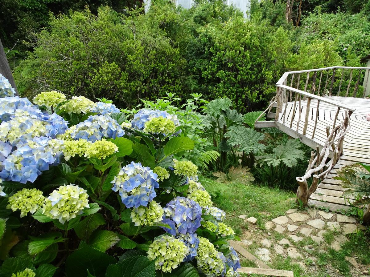 Cabanas Las Hortensias Hotel Ниебла Екстериор снимка